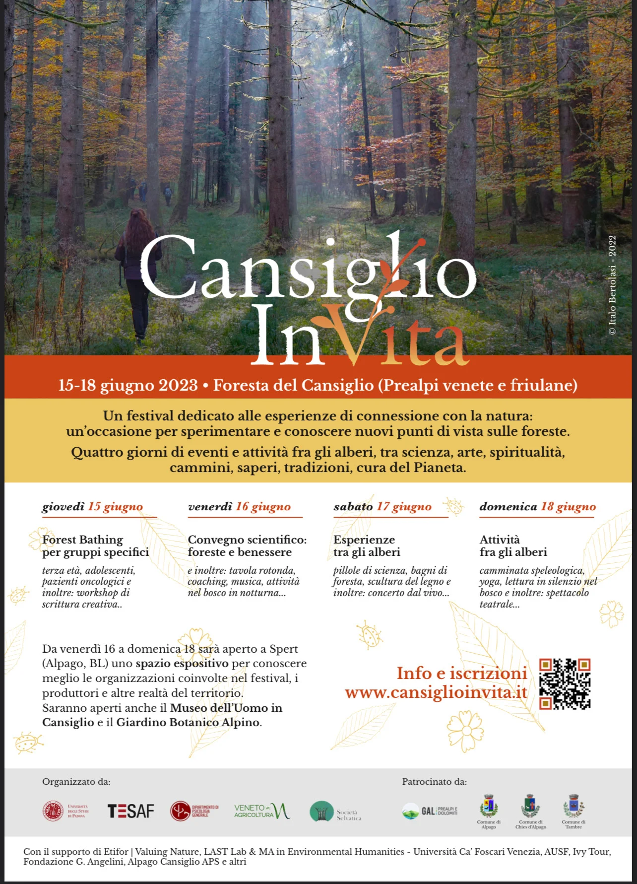 Docenza Cansiglio in Vita — Giugno 2023