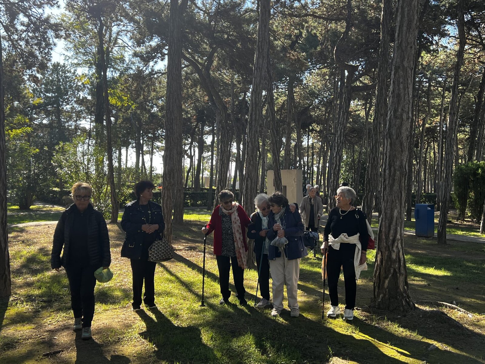 Più verde nelle aree urbane, meno stress. Ma gli alberi come Bene Comune vanno aiutati a vivere.